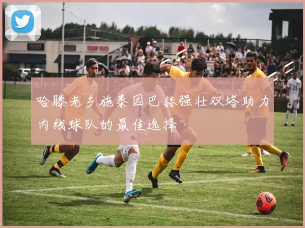 哈滕老乡施泰因巴赫强壮双塔助力内线球队的最佳选择